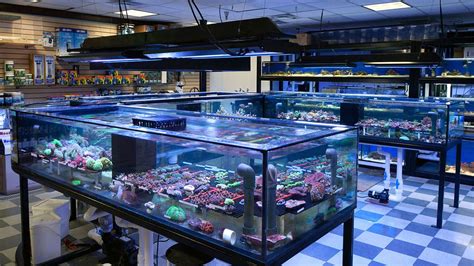 Fish superstore - 1. Crowned Aquatics. “Fish quality much better than the big stores and provide excellent support for new fish tank owners.” more. 2. Iowa Pet Foods & Seascapes. “The Iowa Pet Food staff are always welcoming and offer to help. They have several large fish tanks ...” more. 3. 